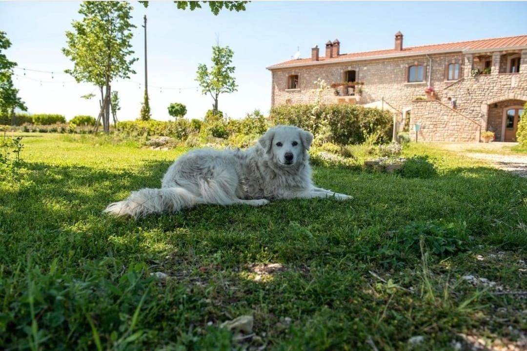 Masseria Fontana dei Fieri Villa Pietrelcina Esterno foto