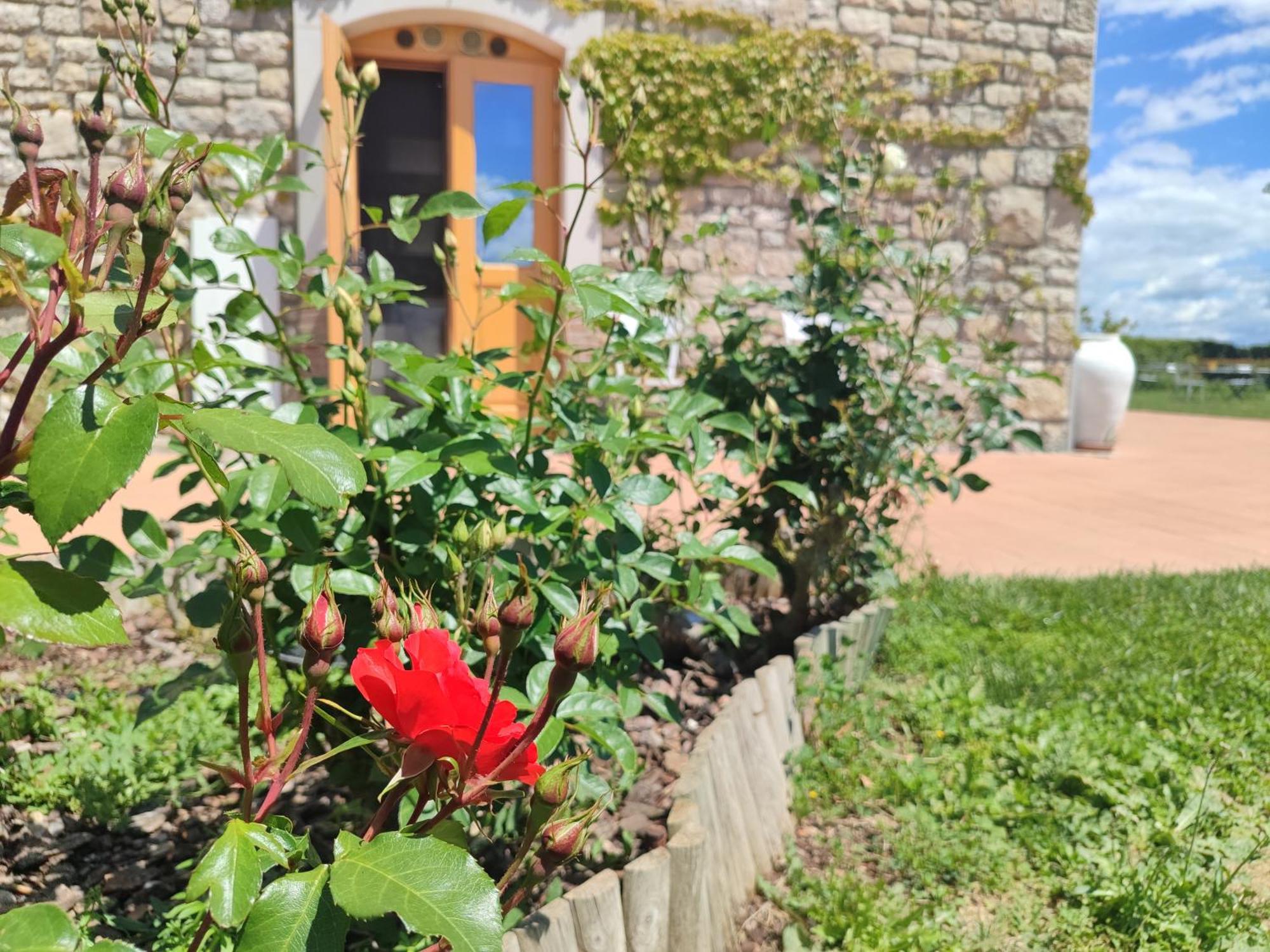 Masseria Fontana dei Fieri Villa Pietrelcina Esterno foto