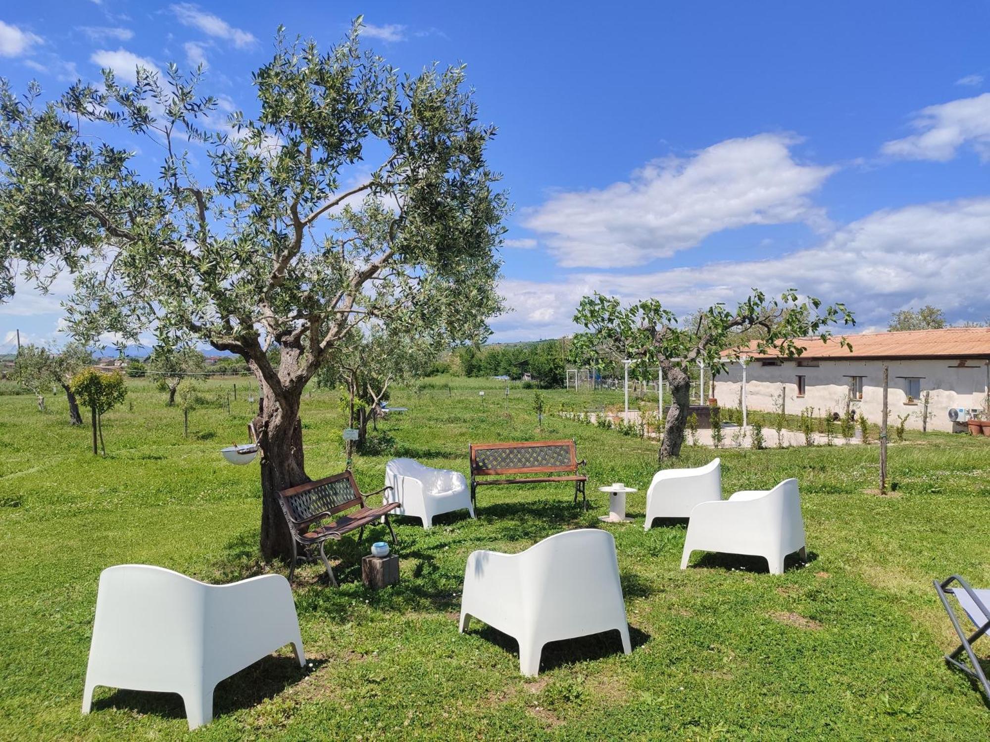 Masseria Fontana dei Fieri Villa Pietrelcina Esterno foto